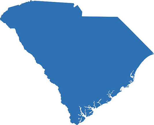 Business Formation / LLC South Carolina