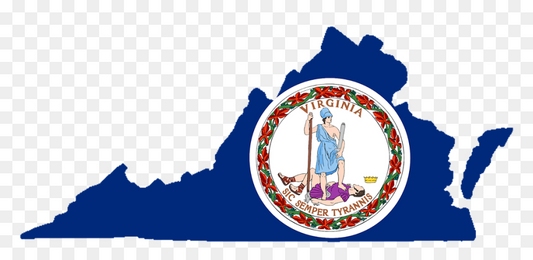 Business Formation / LLC Virginia