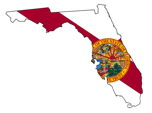 Business Formation / LLC Florida