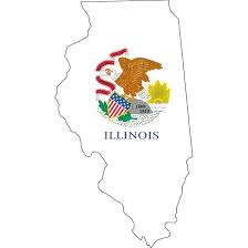 Business Formation / LLC Illinois