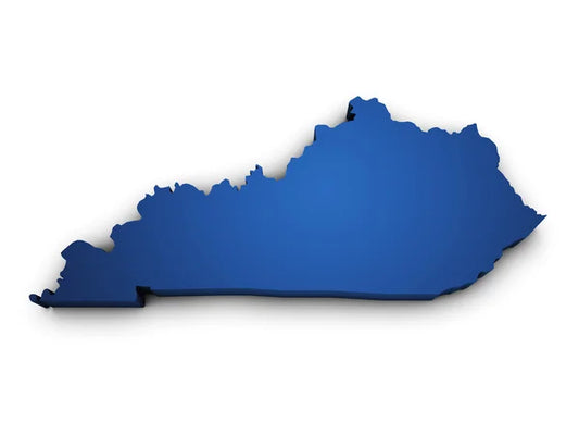 Business Formation / LLC Kentucky